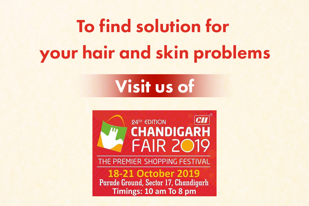 Chandigarh fair 2019
